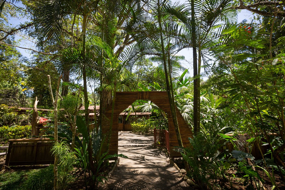 Jaguar Rescue Center, Puerto Viejo, Limón, Costa Rica
